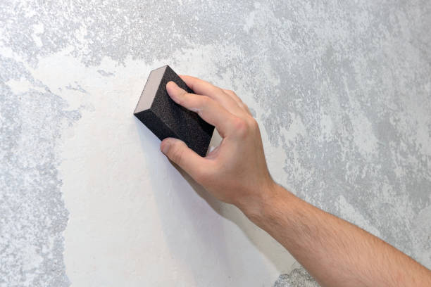 Best Commercial Mold Inspection  in Hartford, KY