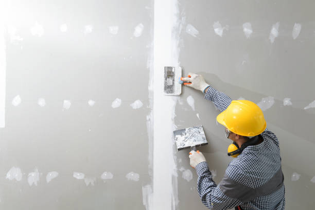 Trusted Hartford, KY Mold Removal Experts