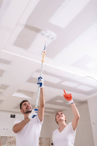 Best HVAC Mold Inspection and Cleaning  in Hartford, KY