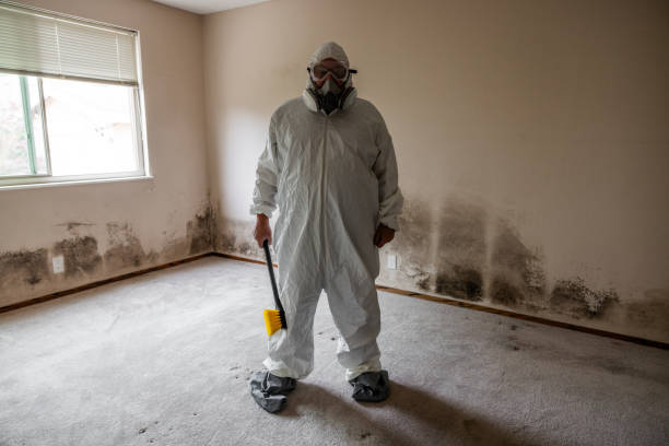 Best Emergency Mold Remediation  in Hartford, KY