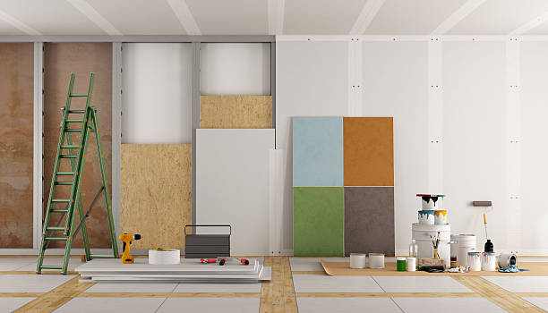 Best Basement Mold Removal  in Hartford, KY
