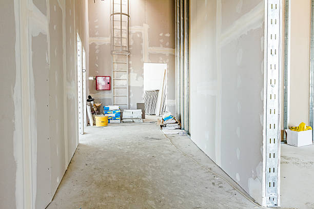 Best Forensic Mold Investigation  in Hartford, KY