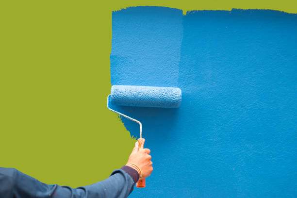 Best Black Mold Removal  in Hartford, KY