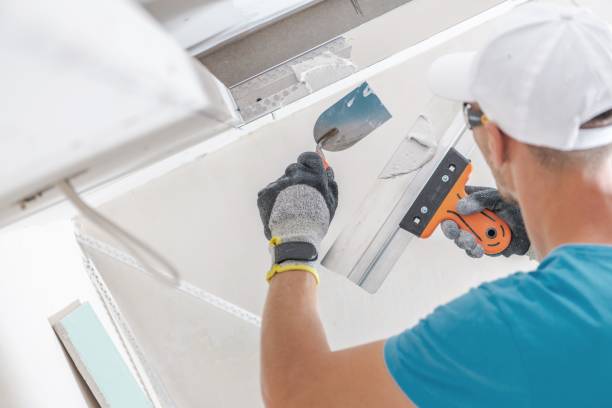 Best Post-Construction Mold Inspection  in Hartford, KY